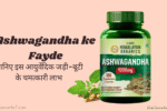 Ashwagandha ke Fayde