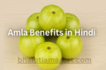 Amla Benefits in Hindi