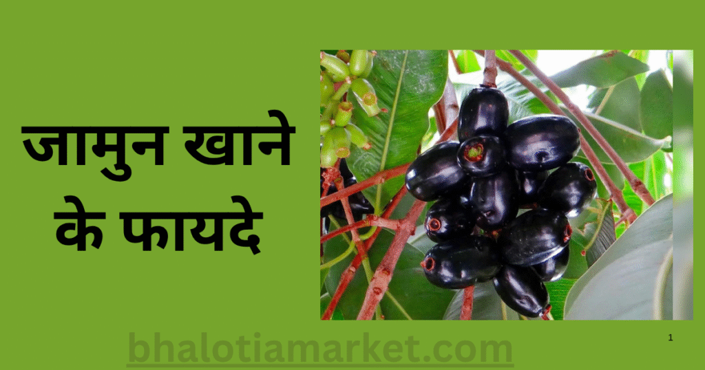 Jamun Khane Ke Fayde in Hindi – सेहत का खजाना है ये काला फल! 14 Jamun Khane Ke Fayde in Hindi