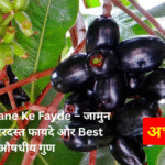 Aam Khane Ke Fayde