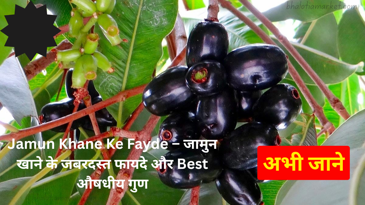 🍇 Jamun Khane Ke Fayde – जामुन खाने के जबरदस्त फायदे और Best औषधीय गुण