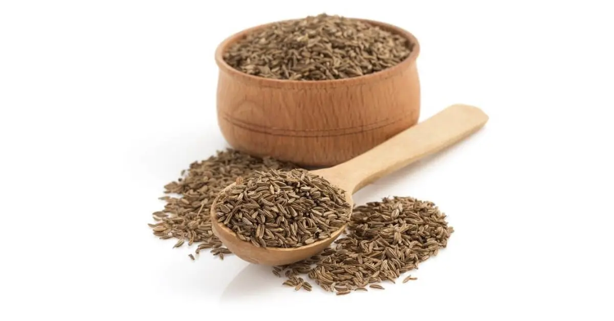 Cumin Powder Hindi: खाने का सही तरीका जान ले तभी करेगा फ़ायदा