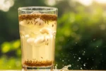jeere ka pani pine ke fayde