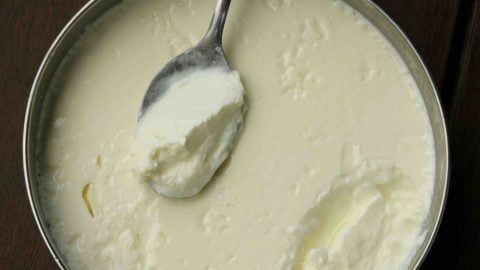 dahi khane ke fayde
