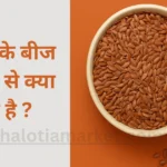 Flax Seeds Benefits in Hindi