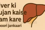liver ki sujan kaise kam kare