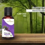 sage oil in hindi