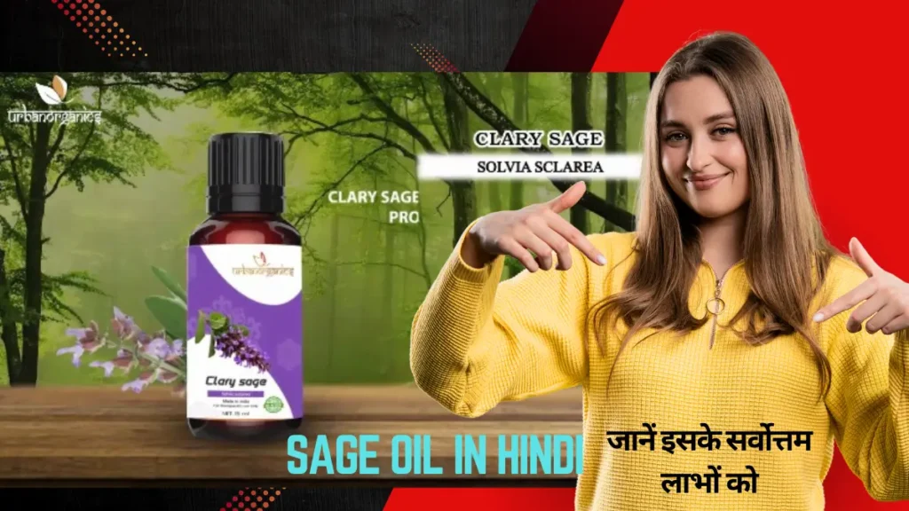 Sage Oil in Hindi- Sage Leaf in Hindi |सेज तेल और जानें इसके सर्वोत्तम लाभों को 14 sage oil in hindi