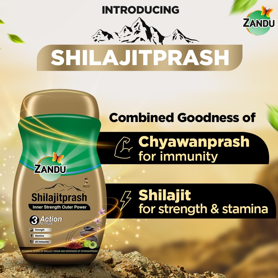 Zandu Shilajitprash: Natural Energy, Immunity & Vitality Booster 12 Zandu Shilajitprash Benefits