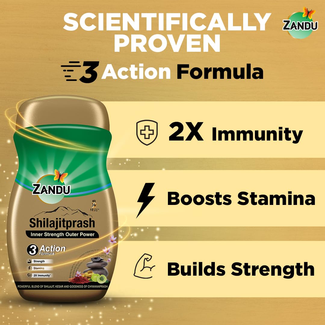 Zandu Shilajitprash: Natural Energy, Immunity & Vitality Booster 14 Zandu Shilajitprash Benefits