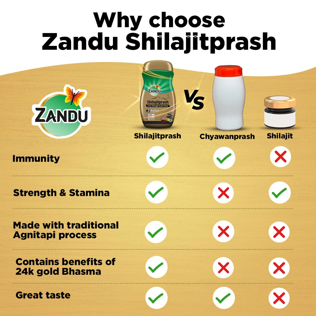 Zandu Shilajitprash: Natural Energy, Immunity & Vitality Booster 16 Zandu Shilajitprash Benefits